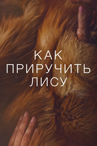 Как приручить лису 2024 онлайн