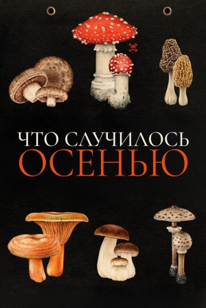 Что случилось осенью 2024 онлайн