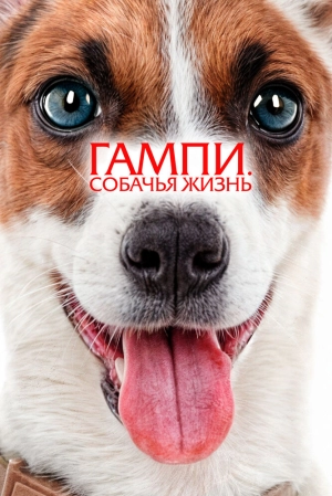 Гампи. Собачья жизнь 2024 онлайн